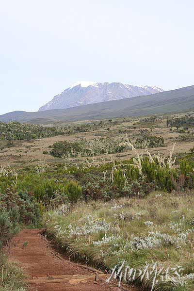 Mud Maps Africa Kili 2238